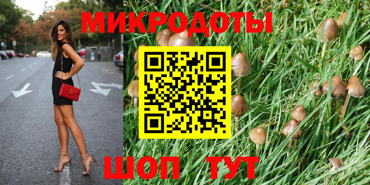 Псилоцибиновые грибы Psilocybe Юрга